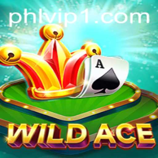 Explore the Thrills of WildAce: A New Era of Card Gaming